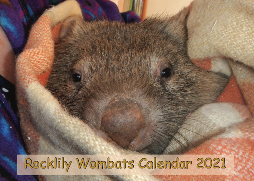 2021 Rocklily Wombat calendar SOLD OUT