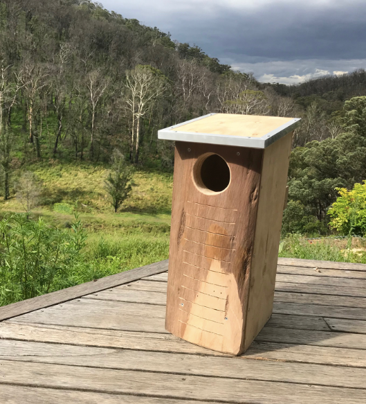 50 Nest Box's for Birds and Gliders Started Jan 2021