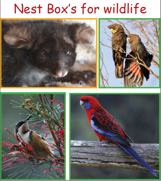 Nest Box's for Wildlife Project.  Starts Jan 2021