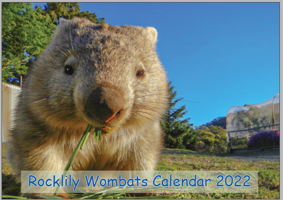 Rocklilywombats Calendar 2022 Sold Out