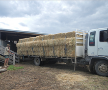 Load image into Gallery viewer, Gift of Milk  and Food for all our little wildlife $20