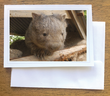 Load image into Gallery viewer, Bruce Wombat Blank photo card with envelope 210 gms Gloss card