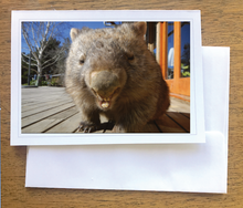 Load image into Gallery viewer, George Wombat smiling Blank photo card with envelope 210 gms gloss card