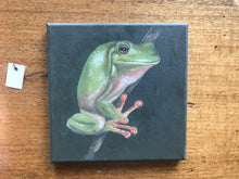 Load image into Gallery viewer, Green tree frog  19cm x 19 cm  Original Oil by Kathie Bateman Includes Aust shipping