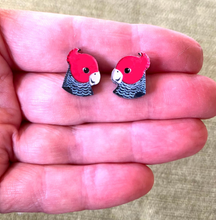 Load image into Gallery viewer, Gang Gang Cockatoo Studs  Made in Australia from recycled Acrylic, Smyle Designs