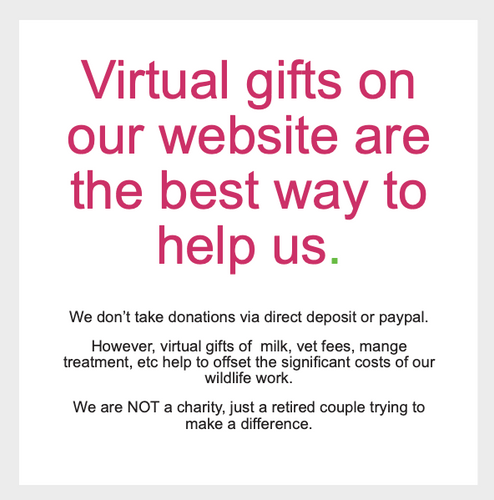 Virtual gifts on this website are the best way to help us!