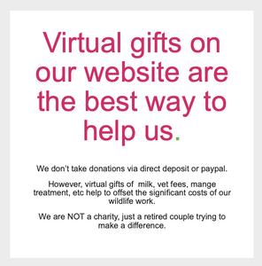 Virtual gifts on this website are the best way to help us!