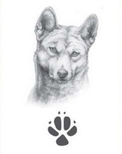 Load image into Gallery viewer, Dingo Silver Footprint Lapel-Pin, Bushprints Jewllery