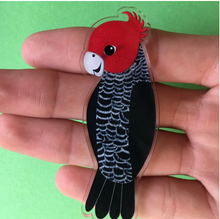 Load image into Gallery viewer, Gang Gang  Brooch by  in Australia from recycled Acrylic, Smyle Designs