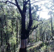 Load image into Gallery viewer, Gift of Nest Box for wildlife, Birds and mammals at Rocklily.