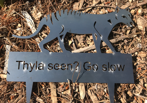 Thylacine, Tasmanian tiger  Rusted Garden Art  By Dianna at Rocklilywombats    includes postage in Aust. International freight extra