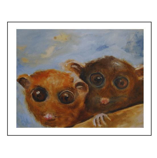 Print Baby Ringtail Possums. No P3