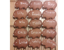 Load image into Gallery viewer, Cow Cookie Cutter Made in Australia