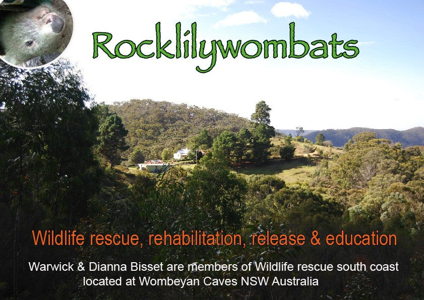 Rocklily Slideshow About us & Being a wildlife carer