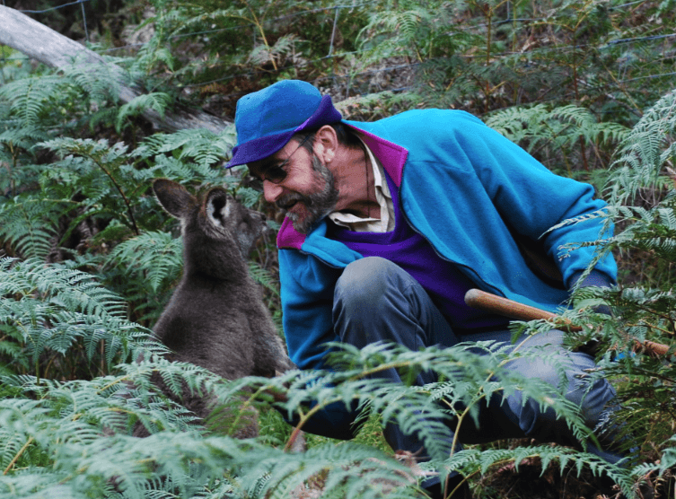 Kangaroos, wallaroos and wallabies released at Rocklily
