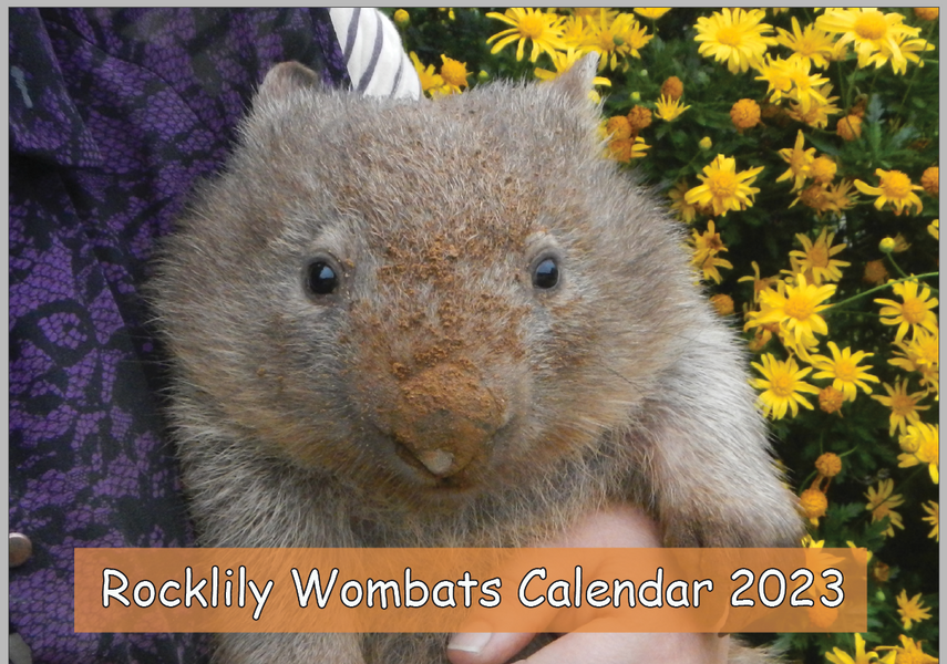 2023 Rocklilywombts calendar in store 14th August !