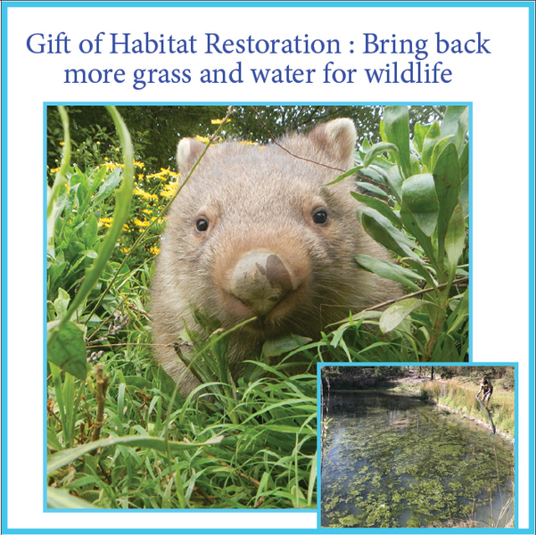 New gift of habitat restoration , with an aim of getting outside help with a seemingly insurmountable job!