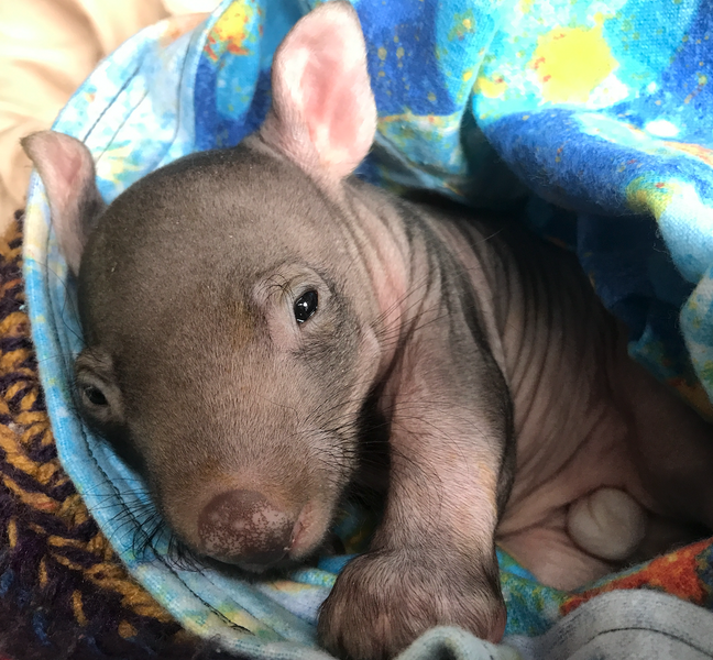 Little Keith  July 2023