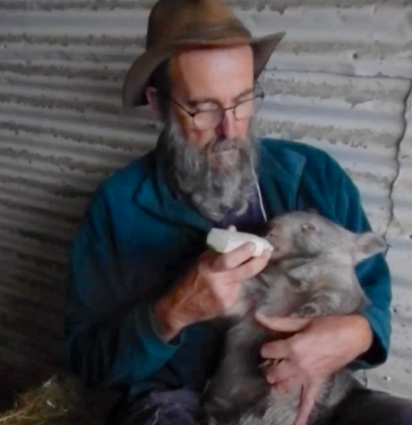 Warwick gently sings 'in my room' wild feeding the little wombats.