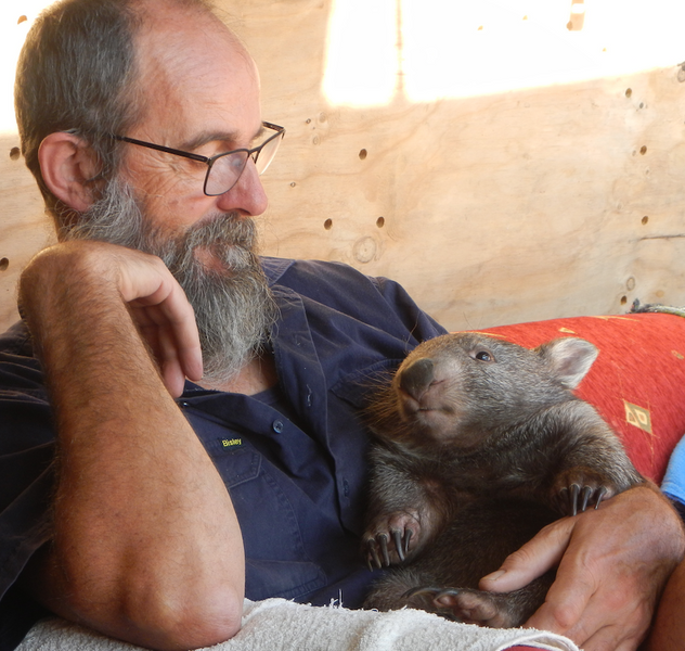 28th June to 7th July website closed orders not dispatched as Warwick has Covid  MANGE KITS EXCEPTED