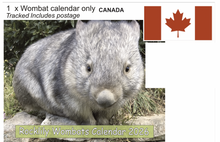 Load image into Gallery viewer, 1 X 2026 ROCKLILY WOMBATS CALENDAR ONLY   TRACKED  Canada