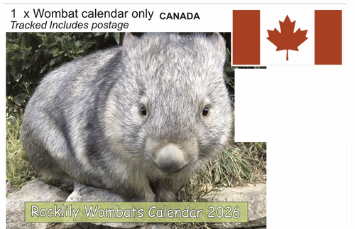 1 X 2026 ROCKLILY WOMBATS CALENDAR ONLY   TRACKED  Canada