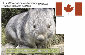 1 X 2026 ROCKLILY WOMBATS CALENDAR ONLY   TRACKED  Canada