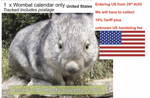 1 X 2026 ROCKLILY WOMBATS CALENDAR ONLY   TRACKED  United States