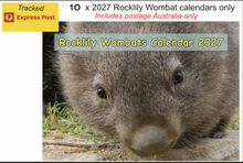 Load image into Gallery viewer, Aust: 1O X 2027 Rocklily Wombats Calendars ONLY. Includes EXPRESS TRACKED postage. due 1st August