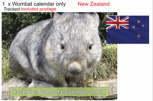 1 X 2026 ROCKLILY WOMBATS CALENDAR ONLY   TRACKED  New Zealand