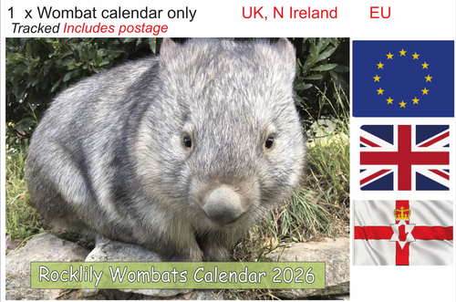 1 X 2026 ROCKLILY WOMBATS CALENDAR ONLY   TRACKED  UK, EU N Ireland