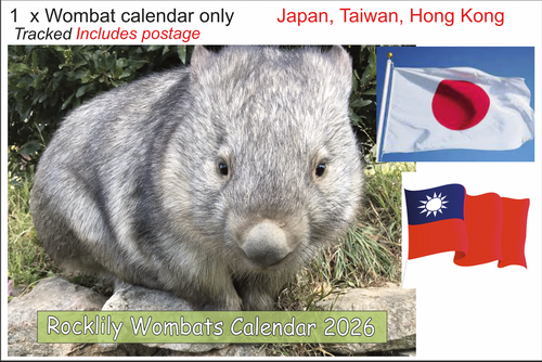 1 X 2026 ROCKLILY WOMBATS CALENDAR ONLY   TRACKED  Japan, Taiwan, Hong Kong