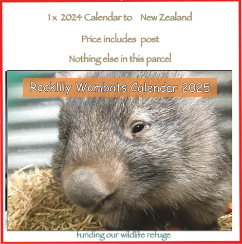 1  x 2025 Calendar ONLY by Rocklily wombats  INCLUDES POSTAGE TO:  NEW  ZEALAND