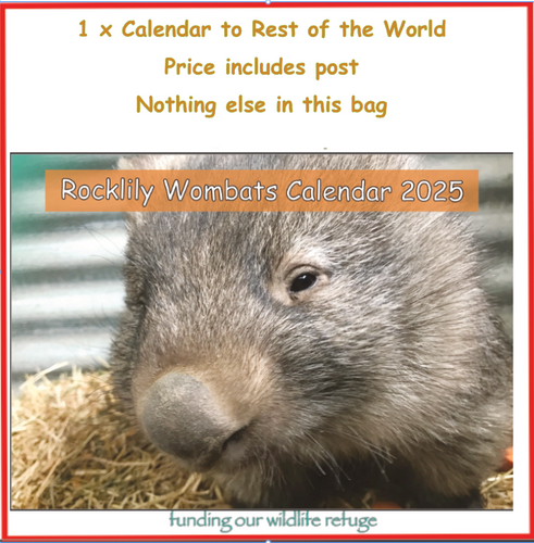 1  x 2025 Calendar ONLY by Rocklily wombats  INCLUDES POSTAGE TO:  REST OF WORLD