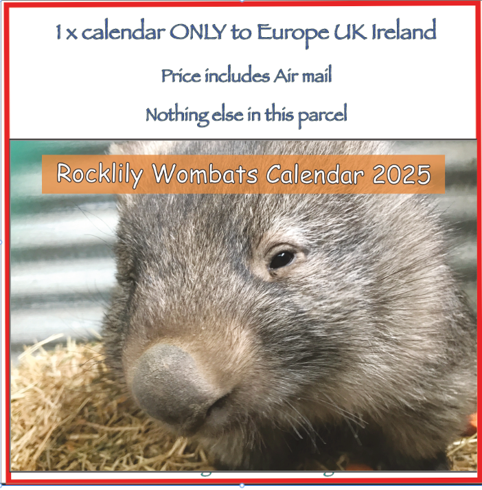 1  x 2025 Calendar ONLY by Rocklily wombats  INCLUDES POSTAGE TO:  UK IRELAND EU