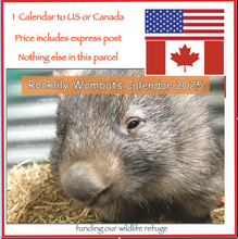 Load image into Gallery viewer, 1  x 2025 Calendar ONLY by Rocklily wombats  INCLUDES POSTAGE TO:  US,Canada .