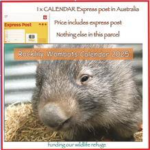 Load image into Gallery viewer, 1  x 2025 Calendar ONLY by Rocklily wombats  EXPRESS POST IN AUSTRALIA INCLUDED