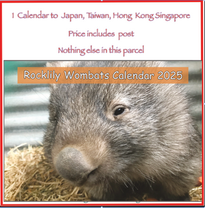 1  x 2025 Calendar's ONLY by Rocklily wombats  INCLUDES POSTAGE TO:  Japan, Taiwan, Hong kong, Singapore