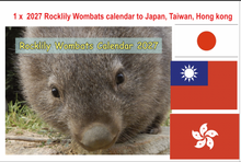 Load image into Gallery viewer, 1 X 2027  Rocklily Wombats Calendar ONLY. To Japan, Taiwan, Hong Kong, South Korea includes TRACKED postage   Due 1st August
