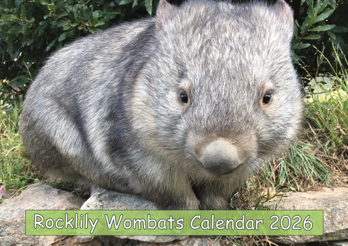 1  2026 ROCKLILY WOMBATS CALENDAR  send as many as you want anywhere with anything