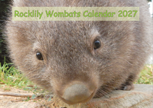 Load image into Gallery viewer, 1  2027 ROCKLILYWOMBATS CALENDAR.  SHIPPED  Australia  and worldwide  WITH ANYTHING. anything  Postage calculated at checkout! Due 1st August)