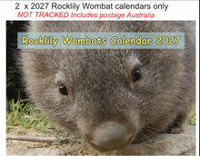 Load image into Gallery viewer, Aust: 2 X 2027 Rocklily Wombats Calendar ONLY.  Includes standard NOT TRACKED postage Due 1st August