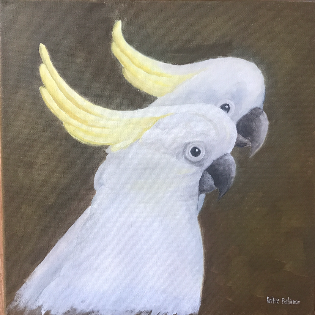 White Cockatoo's 30 x 30cm  Original Oil painting by Kathie Bateman Includes Aust shipping.