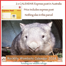 Load image into Gallery viewer, 2 x 2024 Rocklily wombats calendar  INCLUDES Express POSTAGE in Australia