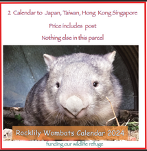 Load image into Gallery viewer, 2  x 2024 Calendar&#39;s ONLY by Rocklily wombats  INCLUDES POSTAGE TO:  Japan, Taiwan, Hong kong, Singapore