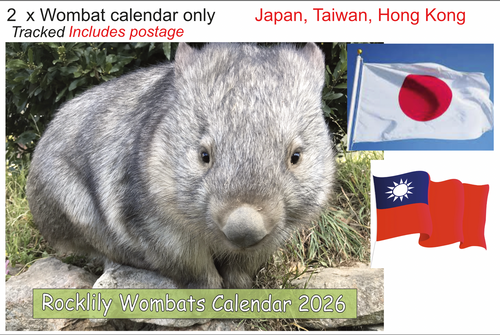 2 X 2026 ROCKLILY WOMBATS CALENDAR ONLY   TRACKED  Japan, Taiwan, Hong Kong