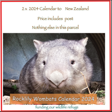 Load image into Gallery viewer, 2  x 2024 Calendar ONLY by Rocklily wombats  INCLUDES POSTAGE TO:  NEW ZEALAND