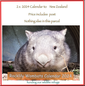 2  x 2024 Calendar ONLY by Rocklily wombats  INCLUDES POSTAGE TO:  NEW ZEALAND