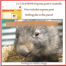 Load image into Gallery viewer, 2  x 2025 Calendar ONLY by Rocklily wombats  EXPRESS POST IN AUSTRALIA INCLUDED