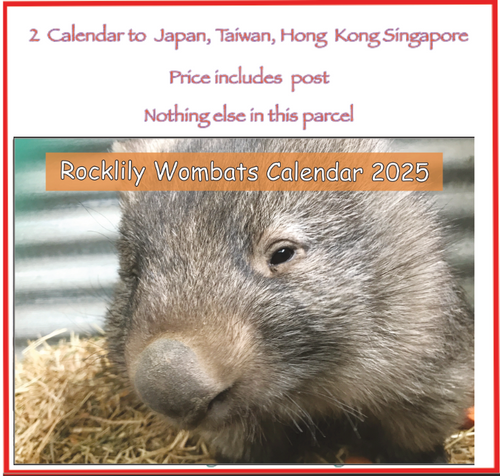 2  x 2025 Calendar's ONLY by Rocklily wombats  INCLUDES POSTAGE TO:  Japan, Taiwan, Hong kong, Singapore